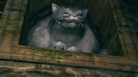 dark souls cat|Alvina .